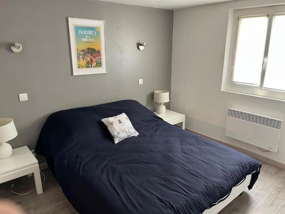 Bas De Villa 70M2 Independant Avec Espace Jacuzzi Prive Le Lavandou Eksteriør billede